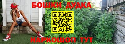 мдпв Апрелевка