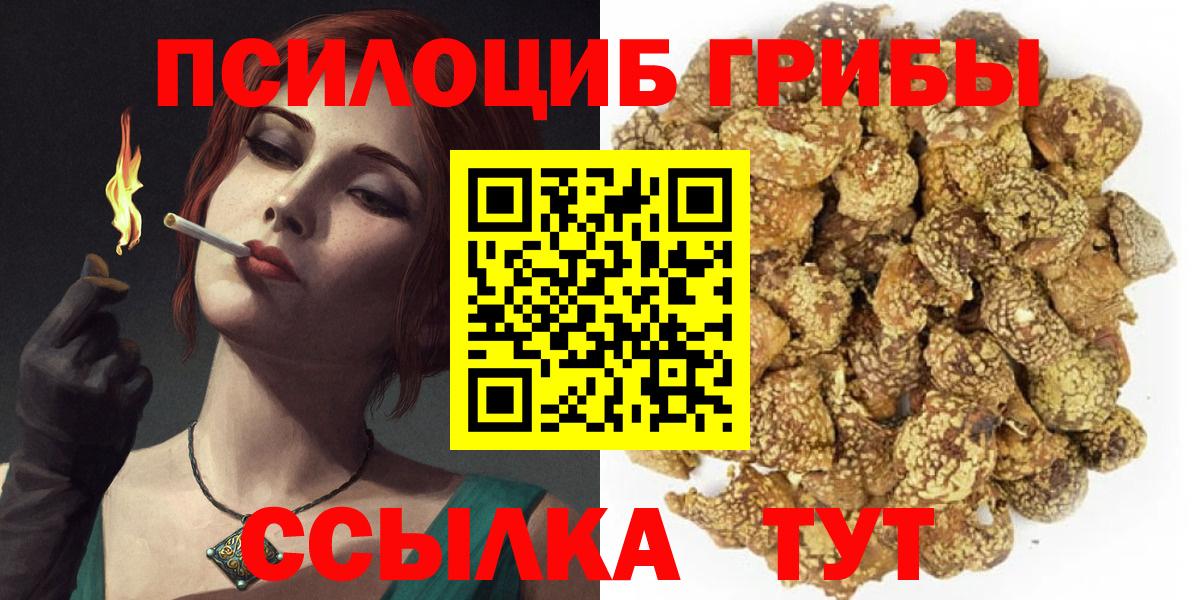 Псилоцибиновые грибы прущие грибы Белово